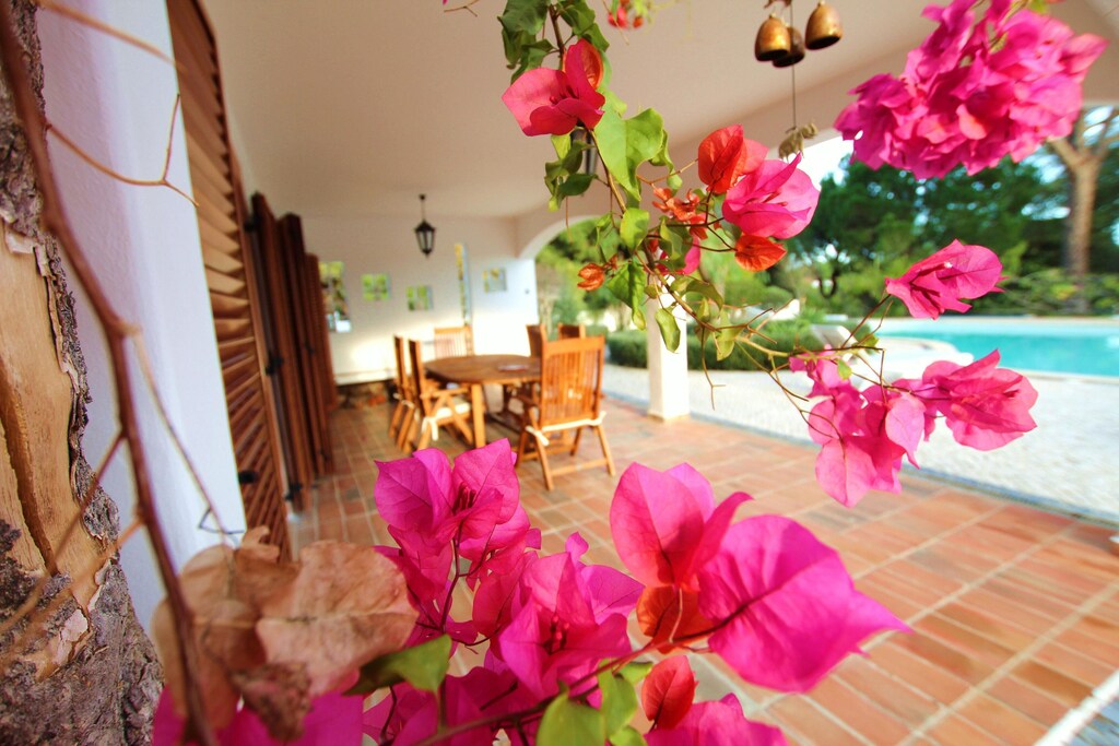 Three Bedroom Villa